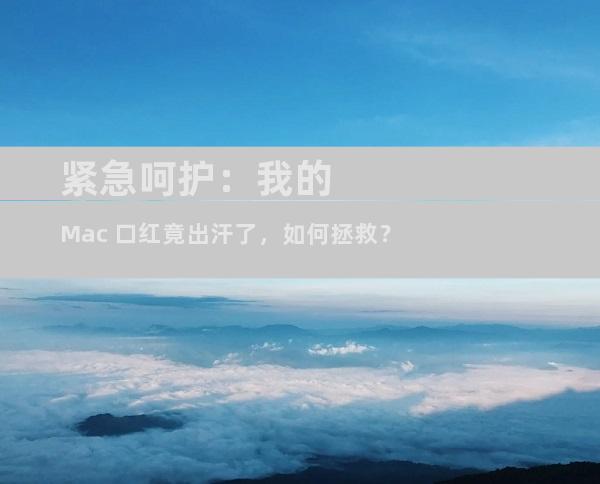 紧急呵护：我的 Mac 口红竟出汗了，如何拯救？